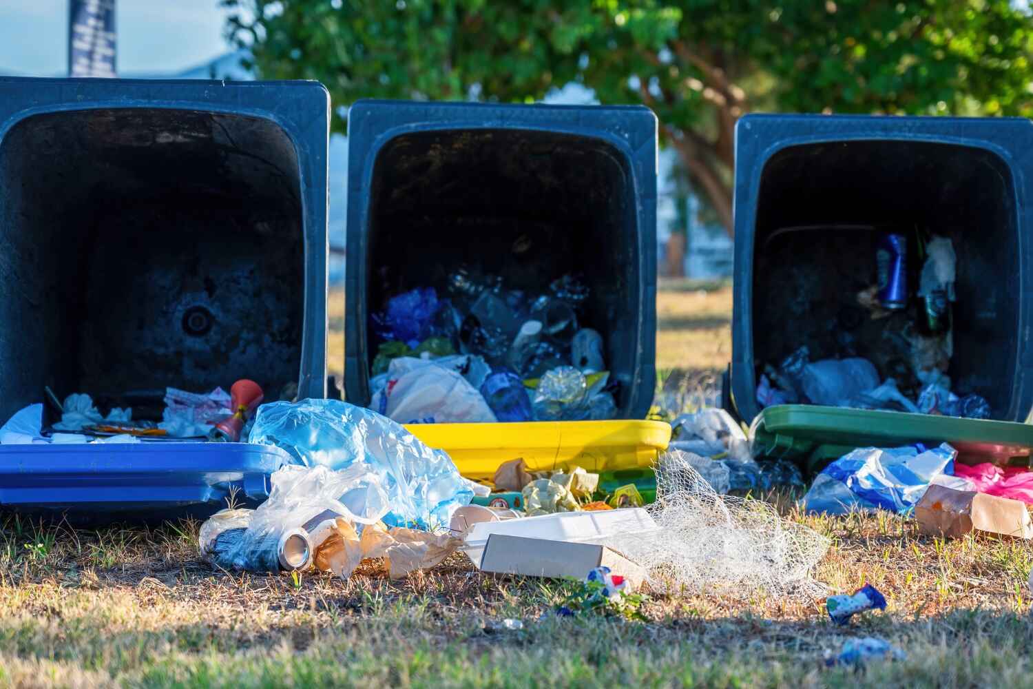 Full-Service Junk Removal in Crete, NE